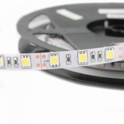 STRIP LED 12V 12W/MT IP20 BIANCO CALDO LED5050 1760LM/MT 60 LED/MT BOBINA MT.5