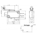 MICROSWITCH 22x18 CON LEVA LUNGA E ROTELLA 16A