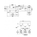 MICROSWITCH CON LEVA TM1701