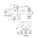 MICROSWITCH CON LEVA E ROTELLA 1704 15A